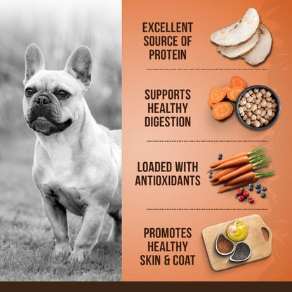 Zoe Turkey and Sweet Potato Small Breed Adult Dog Dry Food — detail shot