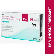 Zoetis Apoquel 16Mg Tablet Pack Of 10 Tablets