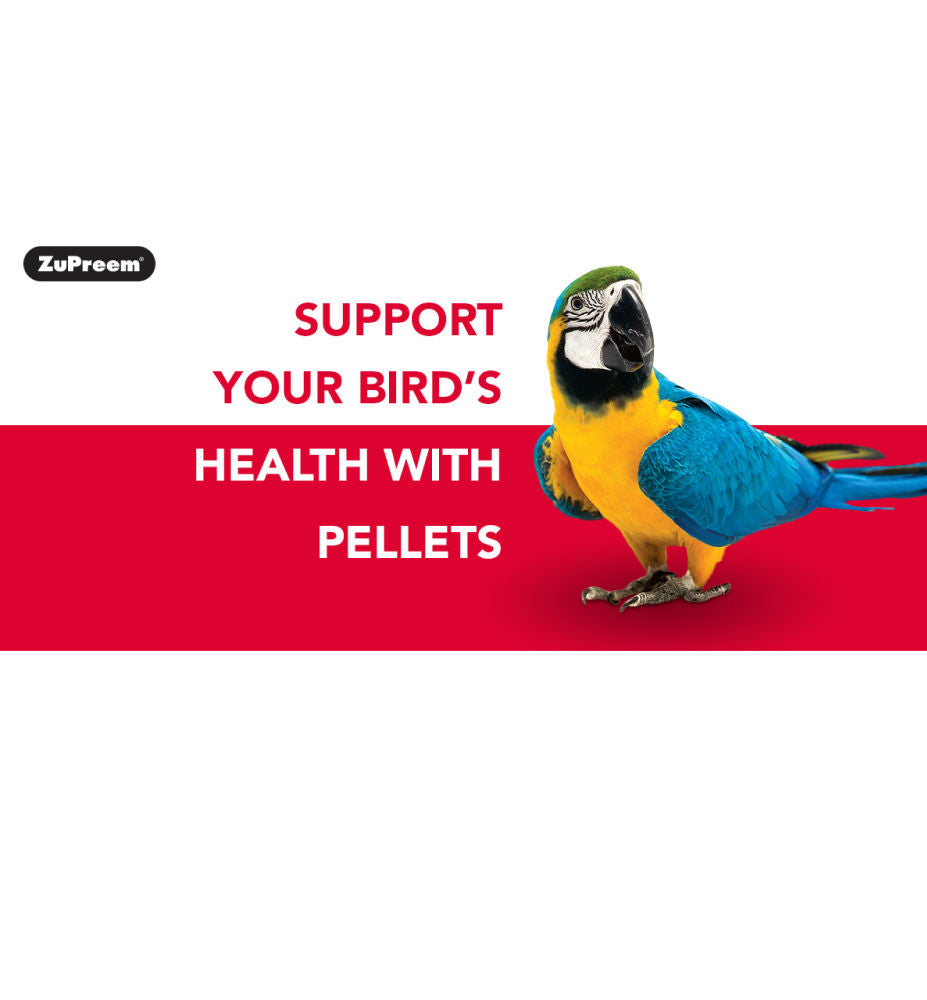 Zupreem Fruit Blend Bird Food For Large Birds - Image 2