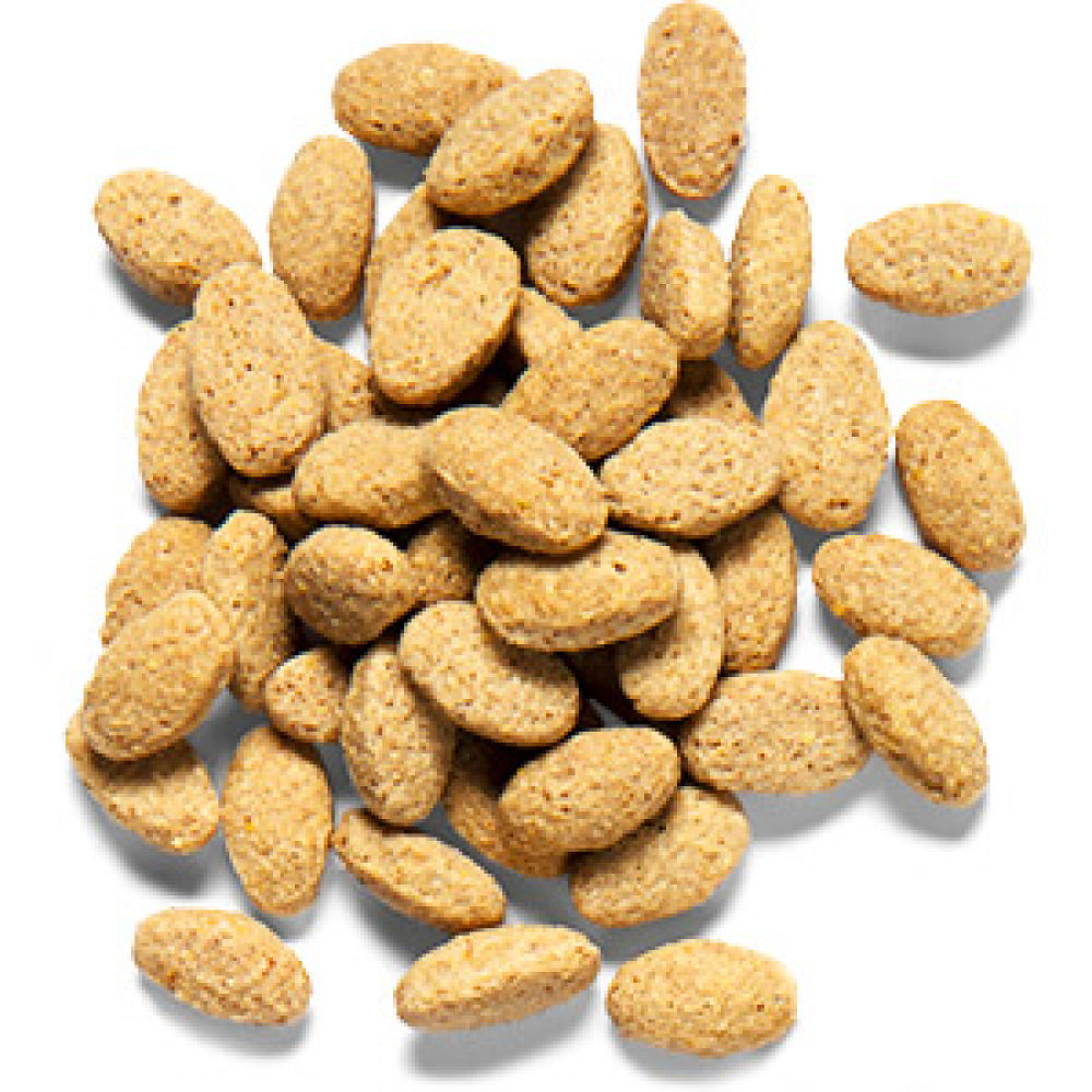 Zupreem Natural Avian Pellet Diet Medium Large Bird Food - Image 3