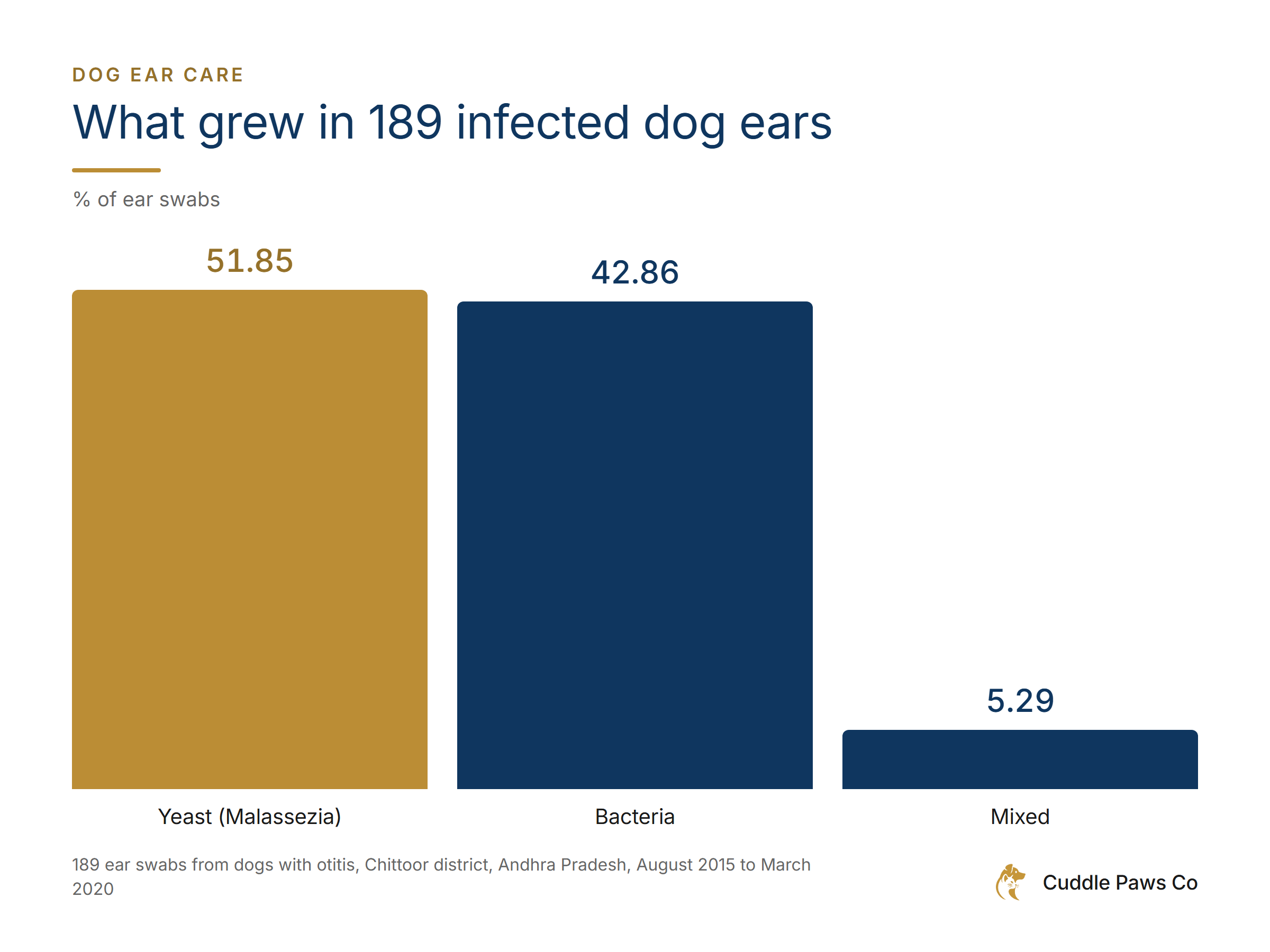 Bar chart of what grew in 189 ear swabs from dogs with ear infections in Chittoor district, Andhra Pradesh, 2015 to 2020. Yeast (Malassezia) 51.85%, bacteria 42.86%, mixed 5.29%.