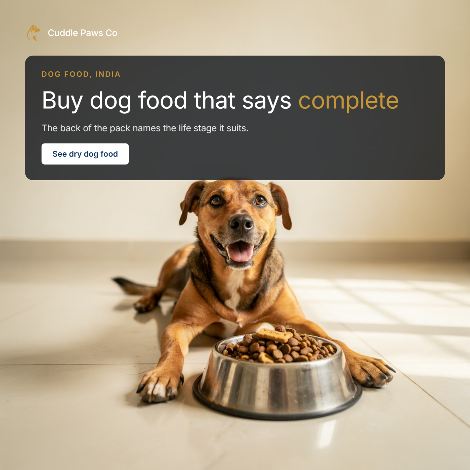 A happy, playful indie dog lying on a tiled floor in a bright Indian home beside a steel bowl of dry kibble and a few biscuit treats, smiling at the camera.