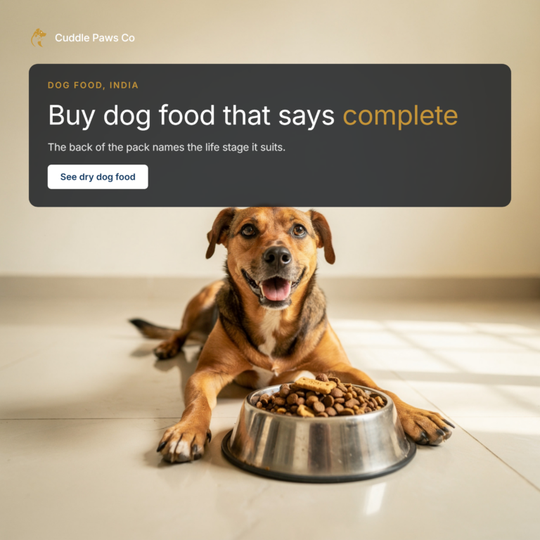 A happy, playful indie dog lying on a tiled floor in a bright Indian home beside a steel bowl of dry kibble and a few biscuit treats, smiling at the camera.