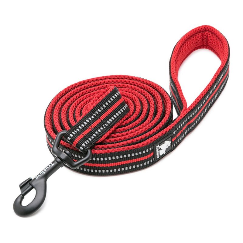 Truelove Classic leash for Dogs (Red)