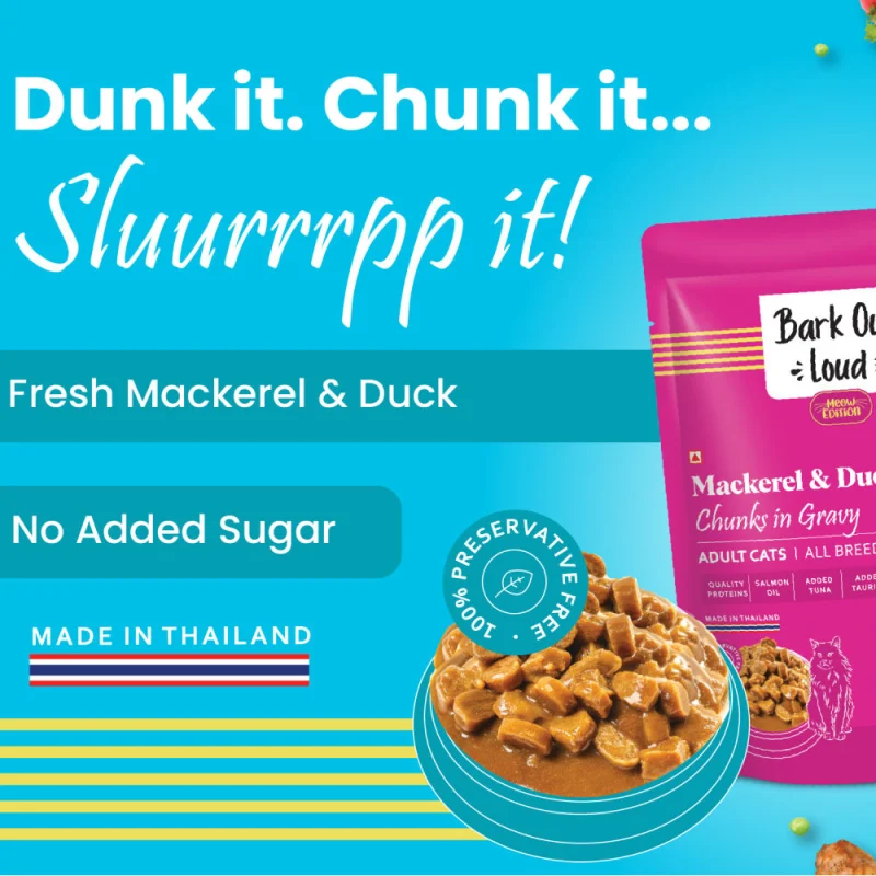 Bark Out Loud Mackerel & Duck Chunks Gravy Adult Cat Wet Food — side view
