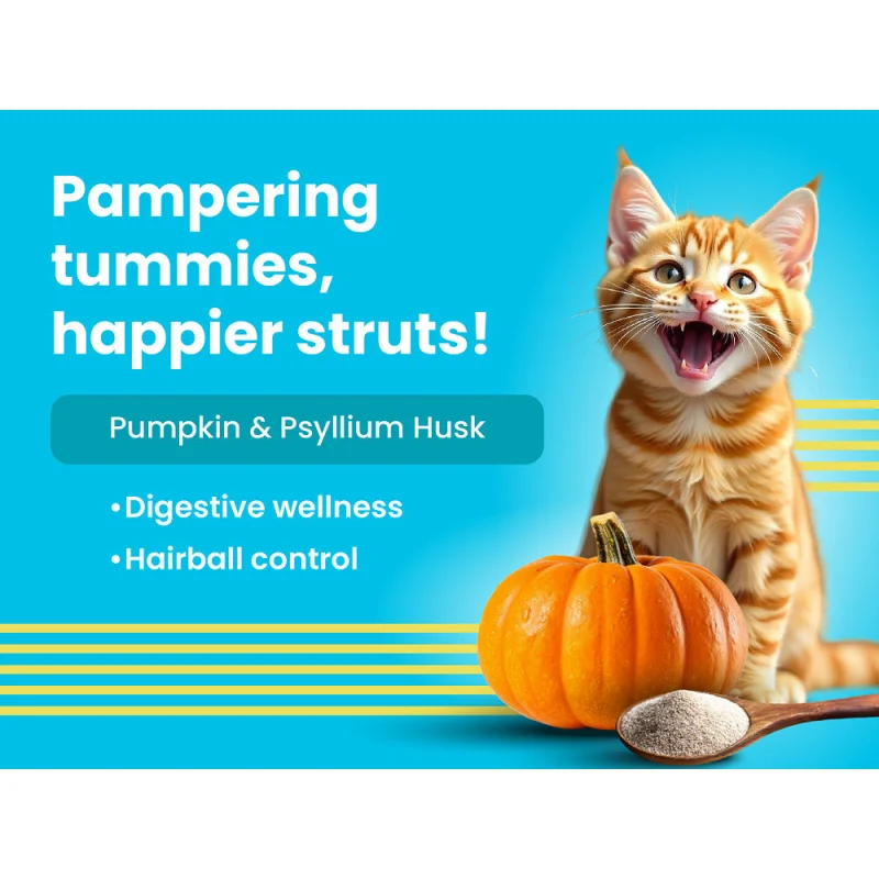 Bark Out Loud Mackerel & Duck Chunks Gravy Adult Cat Wet Food — detail shot