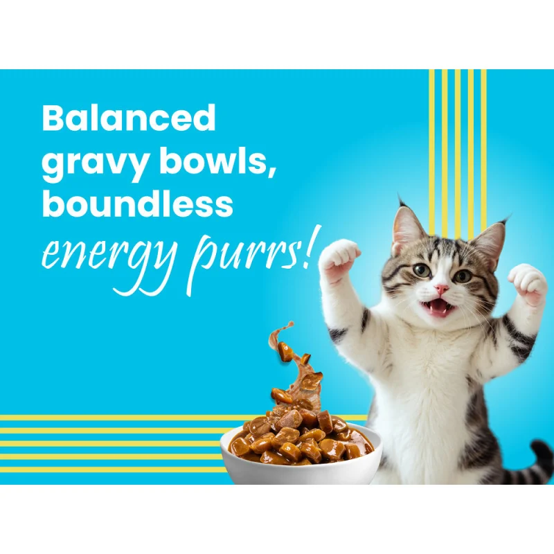 Bark Out Loud Mackerel & Duck Chunks Gravy Adult Cat Wet Food — in use