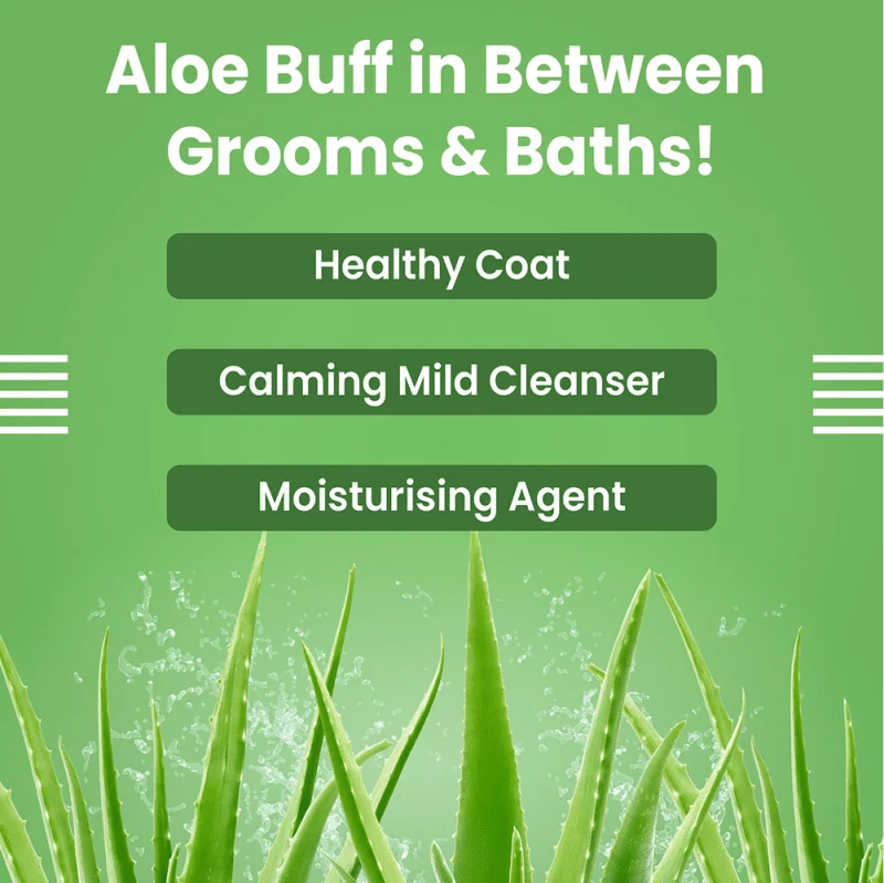 Bark Out Loud No Mess Waterless Dry Shampoo for Dogs — in use