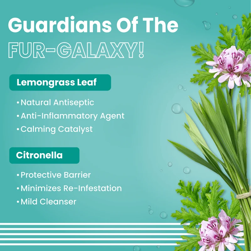 Bark Out Loud Tick & Flea Shampoo for Dogs and Cats — detail shot