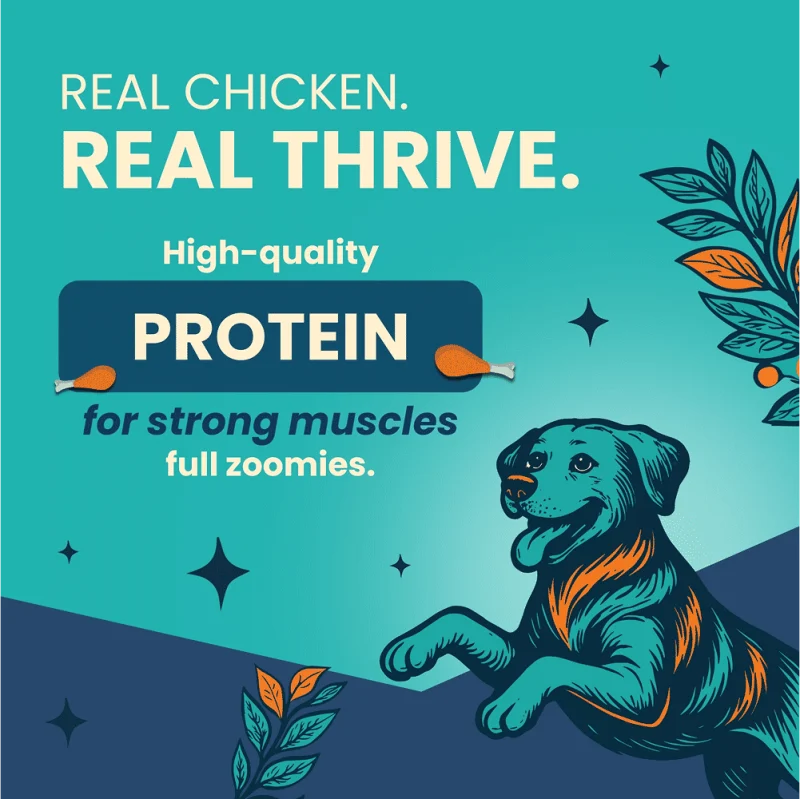 Bark Out Loud Thrive Chicken Flavour Adult Dog Dry Food — in use