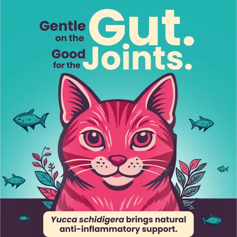 Bark Out Loud Thrive Tuna Flavour Adult Cat Dry Food — in use