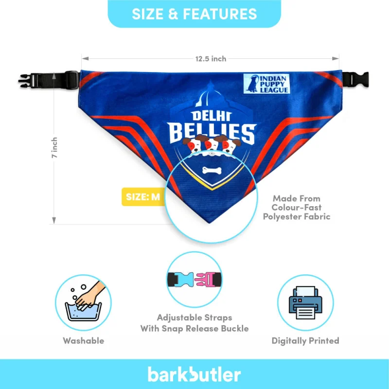 Barkbutler Delhi Bellies Bandana for Dogs | Indian Pet League — back view