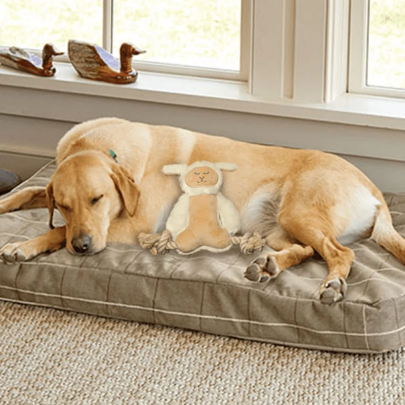 Barkbutler x Fofos Ropeleg Plush Sheep Toy for Dogs | For Medium Chewers — detail shot