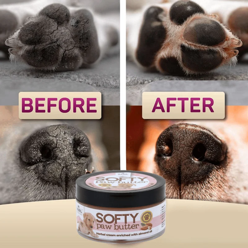 Basil Almond Softy Paw Butter for Dogs — in use