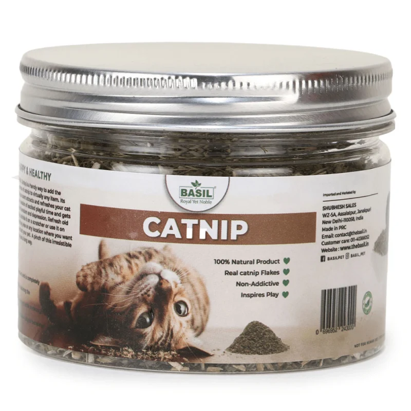 Basil Catnip in a Jar for Cats — back view