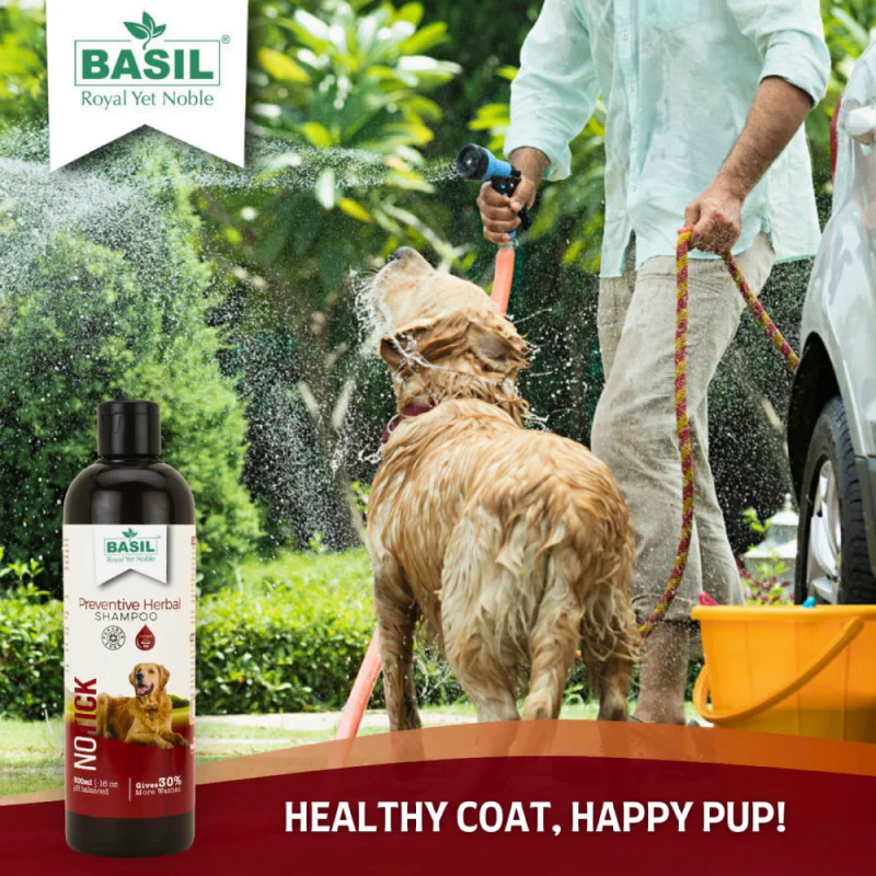 Basil Oat & Aloe Moisturising Shampoo for Dogs and Cats — in use