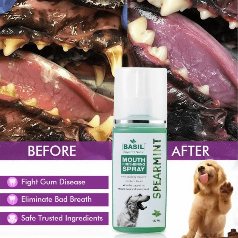 Basil Spearmint Mouth Spray for Dogs — in use