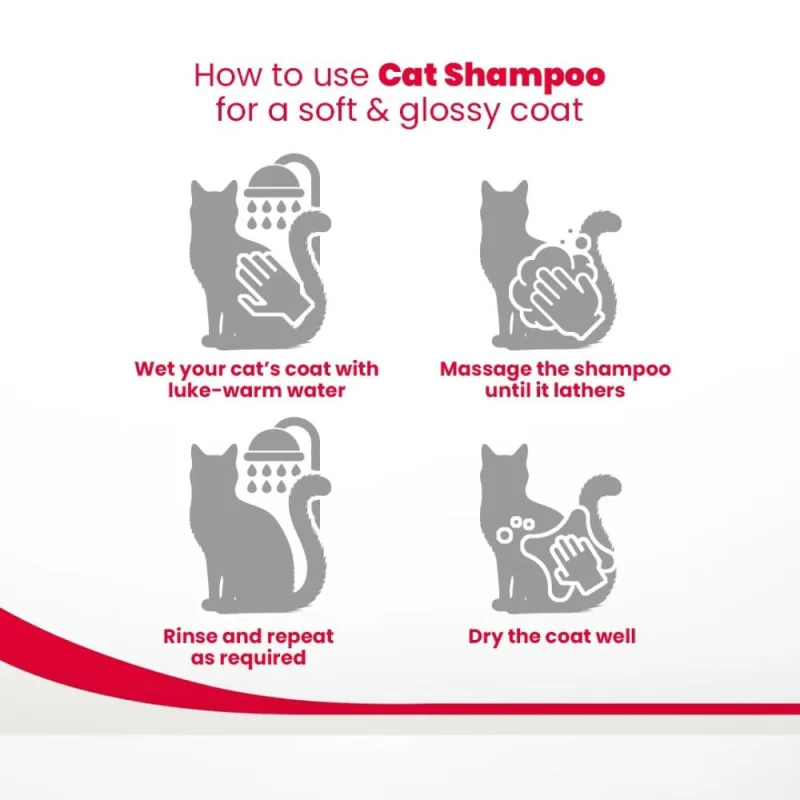 Beaphar Macadamia Oil & Aloe Vera Dryness & Itch Relief Shampoo for Cats — in use
