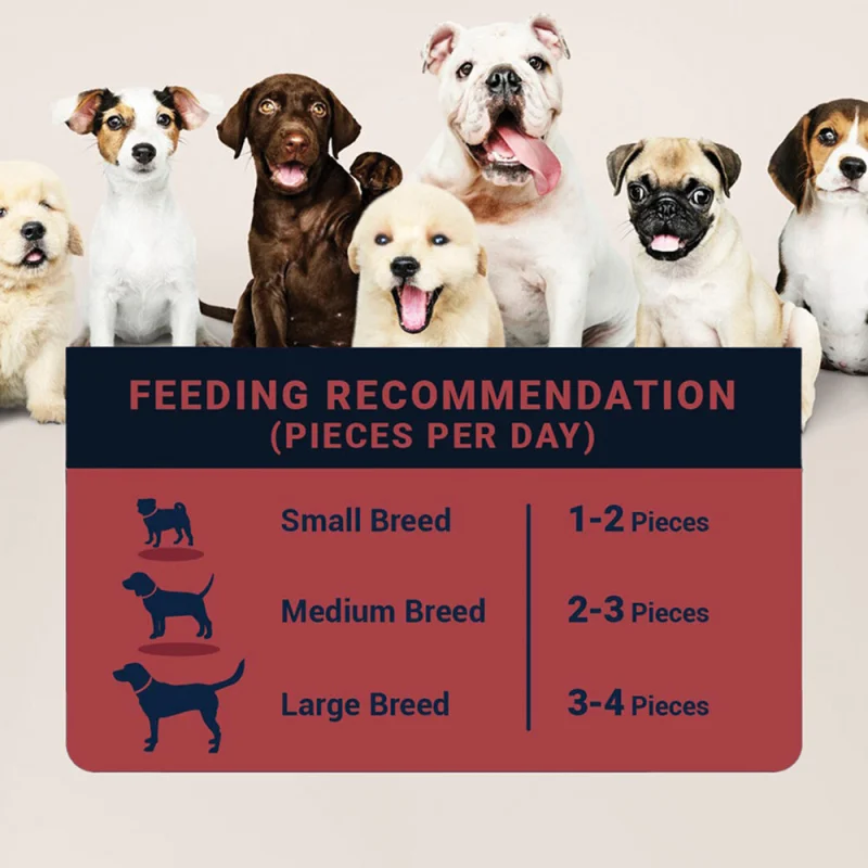 Bowlers Meat Jerky Dog Treats — in use