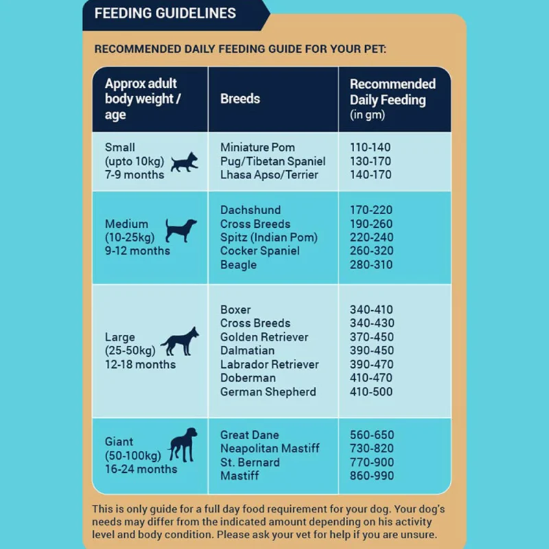 Bowlers Nutrimax Chicken and Vegetables Adult Dog Dry Food — in use