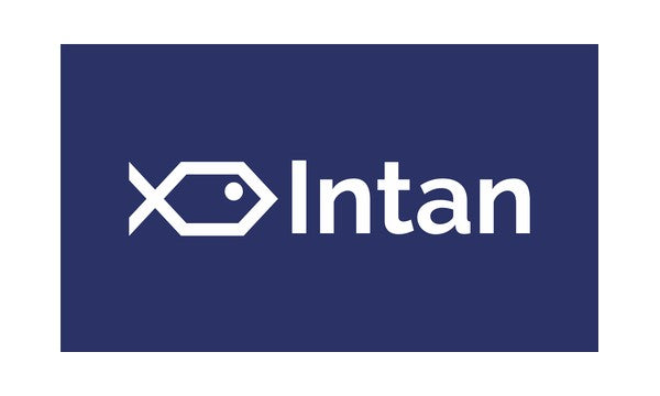 Intan
