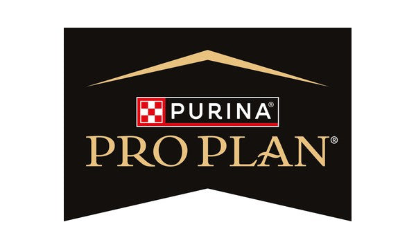 Pro Plan