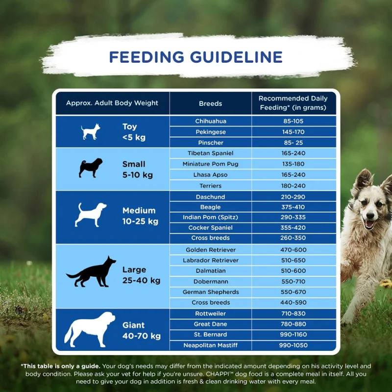 Chappi Chicken & Rice Adult Dog Dry Food — detail shot