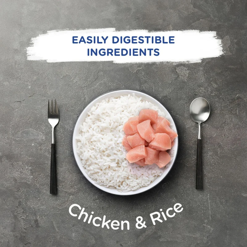 Chappi Chicken & Rice Adult Dog Dry Food — in use