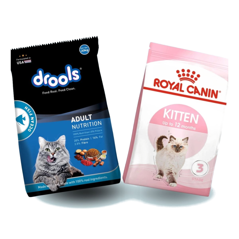 Cat dry food