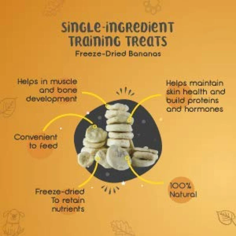 Dogsee Crunch Freeze Dried Banana Dog Treats — side view
