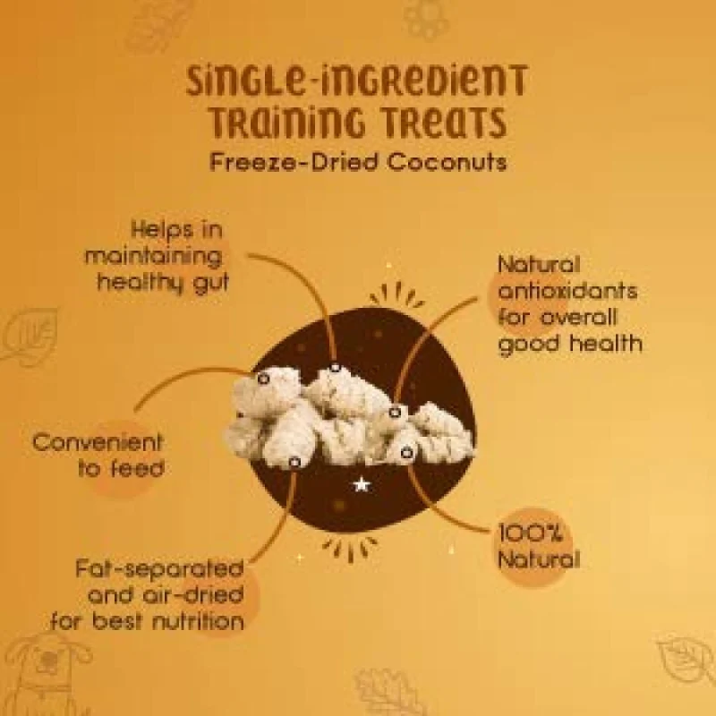 Dogsee Crunch Freeze Dried Coconut Dog Treats — back view
