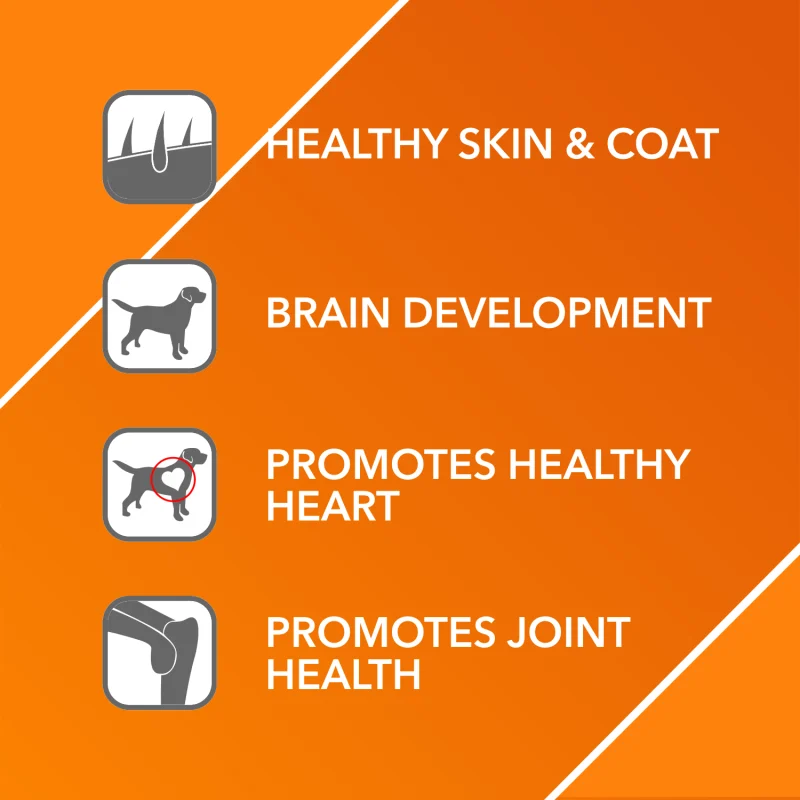 Drools Absolute Salmon Oil Syrup Supplement for Dogs — side view
