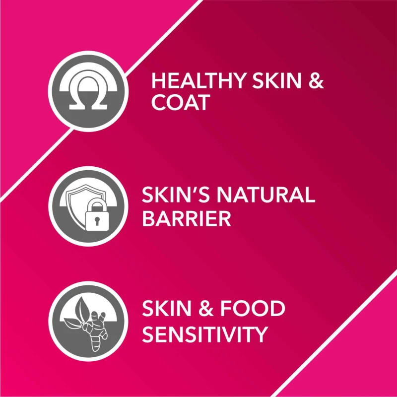 Drools Absolute Skin & Coat Supplement Tablets for Dogs — back view