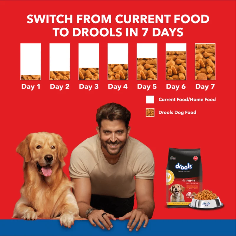 Drools Chicken and Egg Puppy Dog Dry Food — detail shot