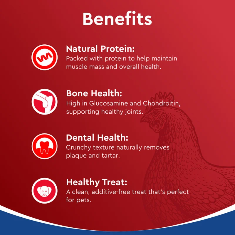 Drools Dehydrated Real Chicken Necks Chews Treat for Dogs — in use