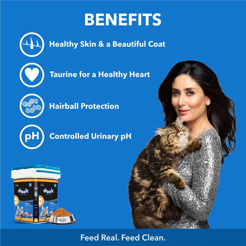 Drools Real Chicken Adult Cat Dry Food — side view