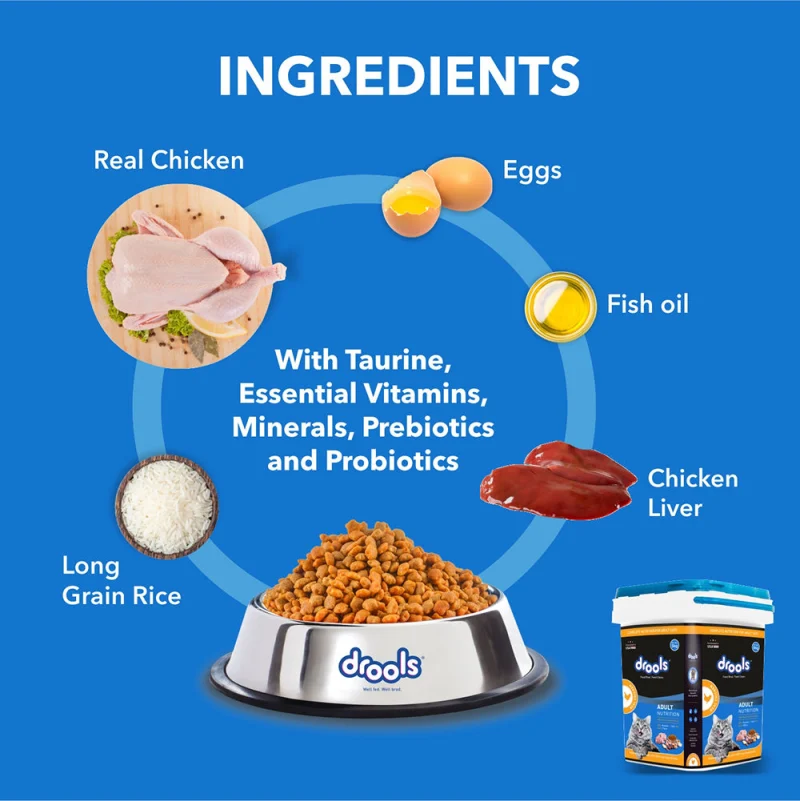 Drools Real Chicken Adult Cat Dry Food — back view