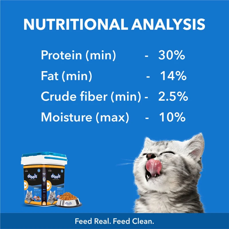 Drools Real Chicken Adult Cat Dry Food — detail shot