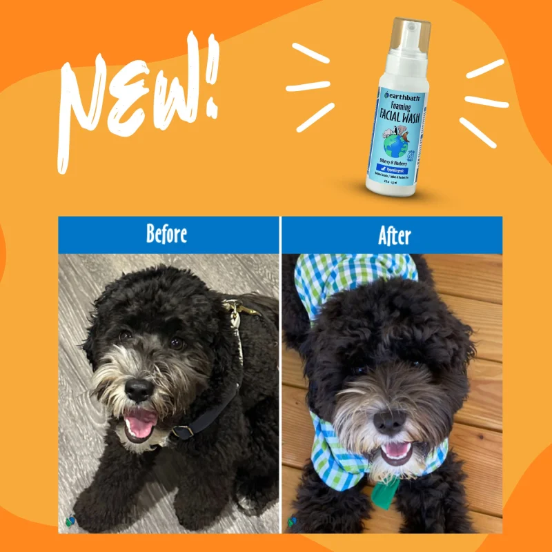EarthBath Bilberry and Blueberry Scented Foaming Face Wash for Dogs and Cats — in use
