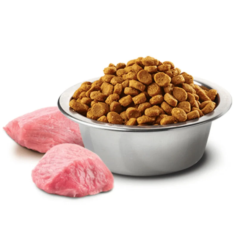 Farmina N&D Chicken & Pomegranate Adult Medium Maxi Dog Dry Food — back view