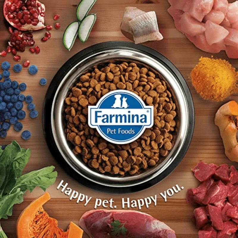 Farmina N&D Quinoa and Lamb Grain Free Weight Management Adult Cat Dry Food — detail shot