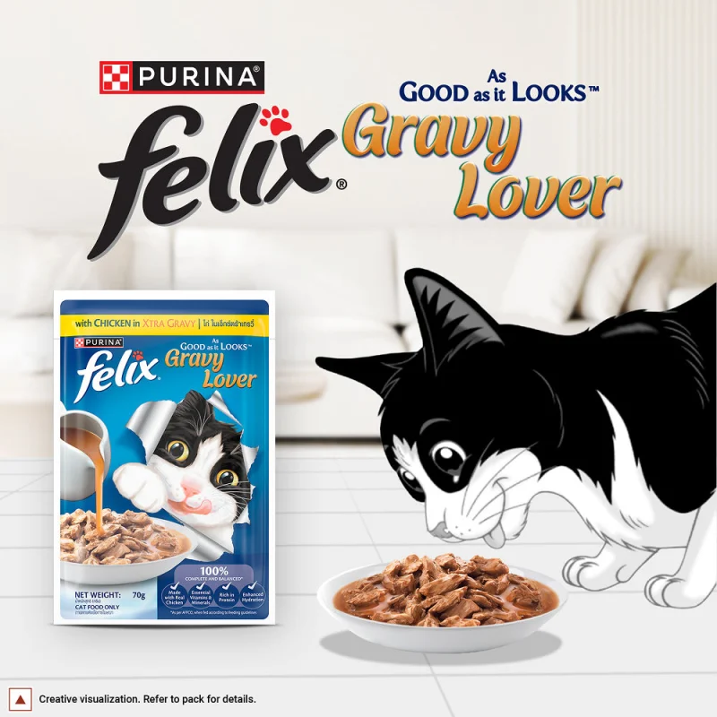 Purina Felix Gravy Lover Chicken Chunks Adult Complete and Balanced Cat Wet Food — detail shot