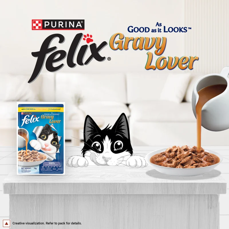 Purina Felix Gravy Lover Chicken Chunks Adult Complete and Balanced Cat Wet Food — in use