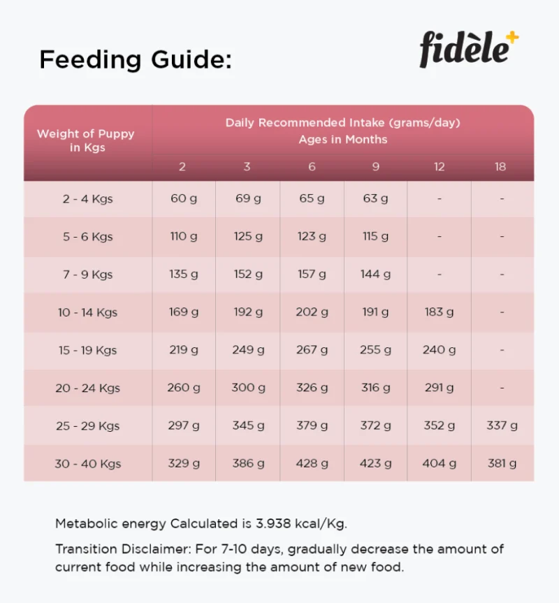 Fidele Plus Small and Medium Puppy Dry Food — detail shot