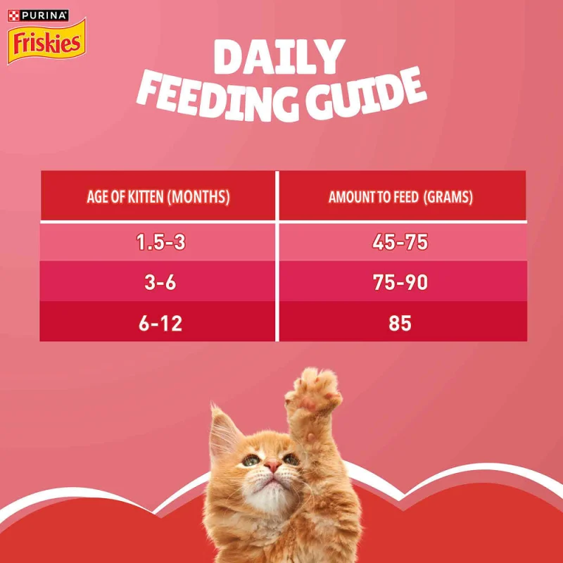 Purina Friskies Kitten Cat Dry Food — in use
