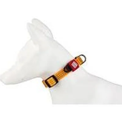 Gigwi Classic Line Collar For Dogs Yellow
