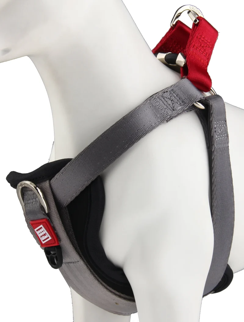 GiGwi Premium Line Harness for Dogs — side view