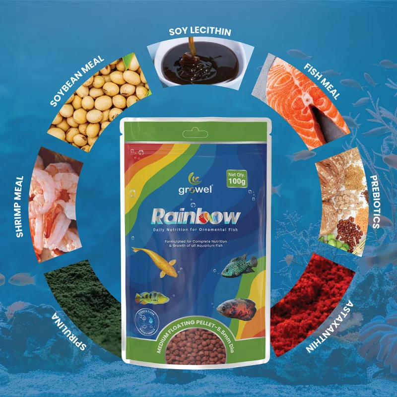 Growel Rainbow Medium 5.5mm Floating Pellet for Fish — back view