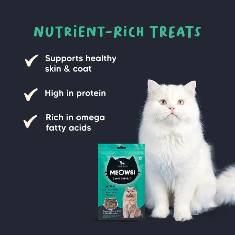 HUFT Meowsi Catnip with Salmon & Chicken Soft Cat Treats — detail shot
