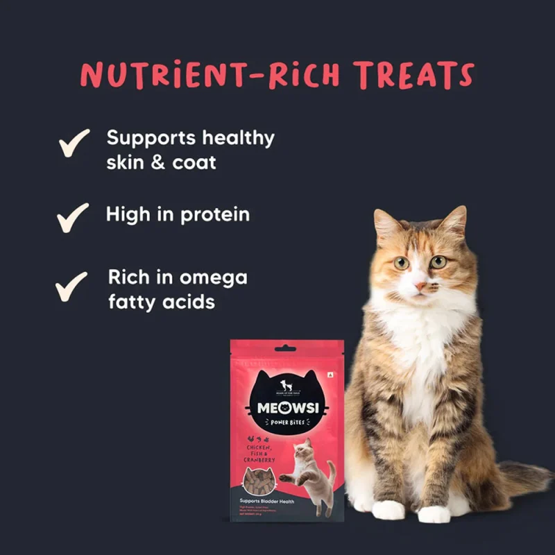 HUFT Meowsi Grain Free Chicken, Fish & Cranberry Power Bites Cat Treats — detail shot